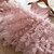 Summer Girls Sleeveless Tutu Lace Dress, Kid Size:140cm(Pink) Summer Girls Sleeveless Tutu Lace Dress, Kid Size:140cm(Pink)