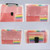 13 Grid Expanding File Folder A6 Document Buckle Lanyard Bag Multicolor Expanding File(Multicolor Buckle)