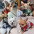Summer Pet Dog Clothes for Small Dogs Fashion Cotton Cat Dog Plaid Shirt, Size:L(Blue)
