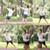 P3-3 Adjustable Fitness Exercise Hanging Pulling Rope TRP3X Wall Pulley Yoga Belt, Main Belt: 1.4m, 1.9m After Adjusted, Athletic Version(Army Green) P3-3 Adjustable Fitness Exercise Hanging Pulling Rope TRP3X Wall Pulley Yoga Belt, Main Belt: 1.4m, 1.9m After Adjusted, Athletic Version(Army Green)