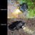 D10 5W XML-2 IPX6 Waterproof Headband Light, 1200 LM USB Charging Adjustable Outdoor LED Headlight