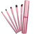 5 PCS Handle Eyes Makeup Brush Set with Aluminum Tube(Pink)