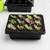 5 PCS Seedling Tray Sprout Plate 12 Holes Nursery Pots Tray Lids Box For Gardening Bonsai Mini Greenhouse Nursery Plate(Black)