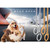 Pet Collars Pet Neck Strap Dog Neckband Snake Chain Dog Chain  Solid  Metal Chain Dog CollarLength:60cm (Gold)