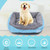 Candy Color Four Seasons Genuine Warm Pet Dog Kennel Mat Teddy Dog Mat, Size: M, 544212cm (Green)