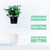 Lazy Flower Pots Automatic Water-absorbing Hydroponic Potted Plants Circular Resin Plastic Flower Pots Double-layer Design Self Watering Planter, Diameter: 13cm, Height: 13.7cm(White)