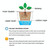 Lazy Flower Pots Automatic Water-absorbing Hydroponic Potted Plants Circular Resin Plastic Flower Pots Double-layer Design Self Watering Planter, Diameter: 13cm, Height: 13.7cm(White)