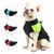 Pet Dog Cotton Vest Ski Suit, Size: S, Chest: 38cm, Back Length: 27cm(Green)