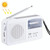Multi-function Portable Solar / Cranked Dynamo Power LED Flashlight with AM/FM Radio & Mobile Phone Charger
