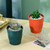 Simple PE Vase Wet And Dry Flower Arrangement Container Drop Resistant Imitation Glaze Hydroponic Flower Pot(Rose Pink)