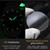 OLEVS 5563 Men Luminous Waterproof Quartz Watch(Black + Gold)
