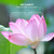 For Samsung Galaxy M04 5pcs ENKAY 0.26mm 9H 2.5D High Aluminum-silicon Tempered Glass Film