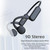 DG-X18 Bone Conduction Bluetooth Headphones Swimming IPX8 Waterproof Sports Headphones, Memory Capacity: 32G(English Black)