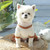 Pet Couple Bottoming Shirt Cat Dog Clothes, Size: XXL(T-shirt)