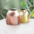 450ML Stainless Steel Long Mouth Gardening Watering Pot(Sand Copper)