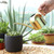 450ML Stainless Steel Long Mouth Gardening Watering Pot(Sand Copper)