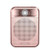 Rolton  K700 Bluetooth Dual-speaker Audio Speaker Megaphone Voice Amplifier(Rose Gold)