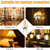 GY6.35 2W 110-140LM LED 1505 COB Corn Light Bulb, AC/DC 12V (Warm White)