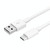 Mini Dual Port USB Charger with USB to Type-C Data Cable, AU Plug