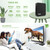 Tanix W2 Amlogic S905 Quad Core Dual Frequency Smart TV Set Top Box, RAM:2G+16G(US Plug)