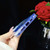 For iPhone 13 Pro Max Electroplated Color Film TPU + PC Phone Case(Red Rose)