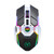 HXSJ T30 2400DPI RGB 2.4GHz Wireless Mouse(Black)