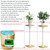 Household Intelligent Drip Irrigation Automatic Watering Timing Machine, Specification: Water 6 Potted Plants