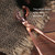 Aroma Candle Tools Candle Extinguisher Wick Cutter, Color: Rose Gold
