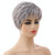 Wig-335 Mixed Silver Gray Ladies Short Straight Hair Wig High Temperature Silk Chemical Fiber Headgear