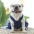 Pet Cat Denim Skirt Chest Back Leash for Dog Walking, Size: XL(303)