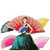 Spain Style Plastic Folding Fan Peacock Lace Fan Ladies Dance Gilding Fan, Size:23x42cm(Red)