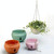 Hanging Plastic Flower Pots Hanging Pots Flower Pot With Hanging Chain,Medium Size:23.2*15.7cm ,Random Color Delivery