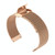 19mm Snap-fit Stainless Steel Mesh Watch Band(Rose Gold)