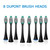 USB Charging Adults Electric Sonic Toothbrush with 8 Brush Heads(Black) USB Charging Adults Electric Sonic Toothbrush with 8 Brush Heads(Black)