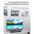 awei Y333 TWS Desktop Wireless Bluetooth Speaker(Black)