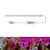 LED Plant Growth Lamp Time Potted Plant Intelligent Remote Control Cabinet Light, Style: 30cm One Head(Red Blue)