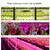LED Plant Growth Lamp Time Potted Plant Intelligent Remote Control Cabinet Light, Style: 50cm Two Head(Pink)