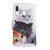 For Samsung Galaxy A20e Painted Pattern Horizontal Flip Leather Case with Holder & Card Slot & Wallet(Three Cats)