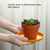 20 PCS Home 6 inch Small Dish Plastic Snack Cake Dish Dining Table Garbage Tray(Square Yellow)