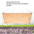 LED Plant Fill Light Full-Spectral Greenhouse Lighting Growth Light, Power: H2 234 Leds 50W(EU Plug)