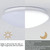 LED Sound Light Control Ceiling Lamp Round Corridor Intelligent Sensor Lamp, Power source: 18W 350mm(White)