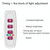 LED Plant Growth Lamp Full Spectroscopy Intelligent Timing Indoor Fill Light Ring Plant Lamp, Power: Four Head(Red Blue Light)