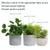 LED Plant Growth Lamp Full Spectroscopy Intelligent Timing Indoor Fill Light Ring Plant Lamp, Power: Four Head(Red Blue Light)