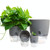 5 PCS Transparent Plastic Double-Layer Water Storage Automatic Water-Absorbing Flowerpot, Size: A703 Caliber 8.2cm(White Transparent Basin)