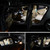 2 PCS 31mm DC12V / 1W / 6000K / 65LM 21LEDs SMD-3014 Car License Plate Light / Dome Light, with Decoder