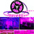 3 PCS 0.5m Waterproof Plant Light Strip LED Planting Filling Light USB Indoor 2835SMD Plant Growth Lamp