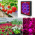 LED Plant Light Quantum Board Greenhouse Seedling Plant Growth Supplementary Light Full Spectrum Plant Planting Light, Power: 169 Beads US Plug