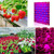 LED Plant Growth Lamp Red Blue Spectrum Flower Fill Light Planting Lamp Room Quantum Plate Plant Light, Power: 169 Beads UK Plug