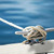 316 Stainless Steel Heavy Round Cable Bolt Yacht Bollard Shofar Pile For Boat, Specification: 300mm 12inch