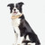 JINMAOHOU Dogs Double-Layer Leather Collar, Specification: XS 34x1.7cm(Black) JINMAOHOU Dogs Double-Layer Leather Collar, Specification: XS 34x1.7cm(Black)